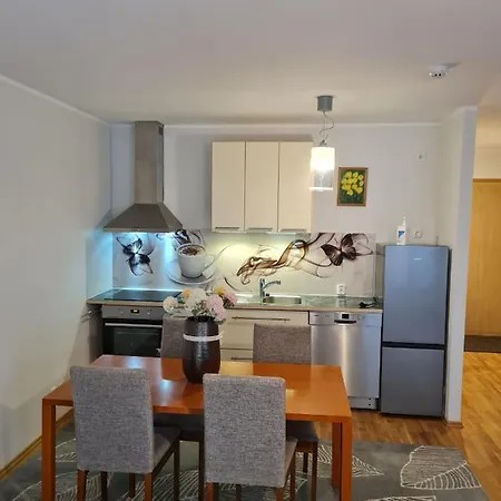 Spacious In Center 公寓 *