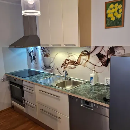 Spacious In Center Apartman *